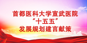 “十五五”规划